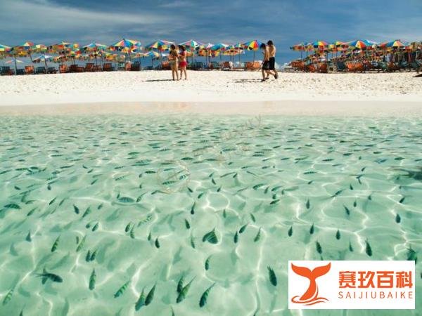 去泰国普吉岛游玩要多少钱,说出来惊呆你