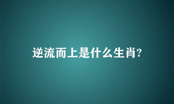 逆流而上是什么生肖?