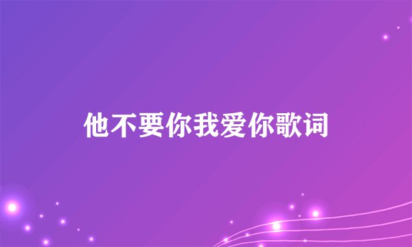 他不要你我爱你歌词