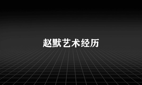 赵默艺术经历