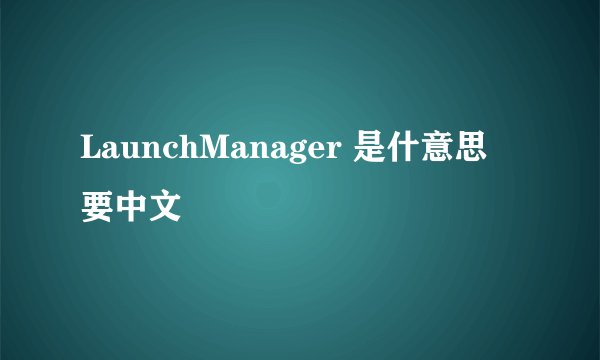 LaunchManager 是什意思 要中文