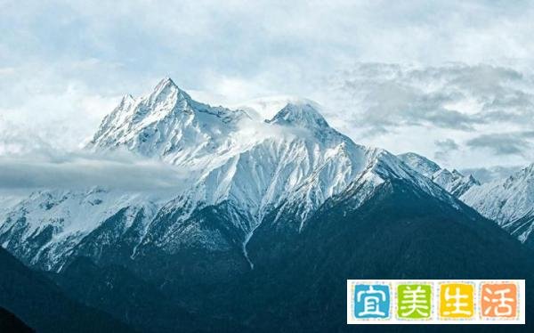 九州未来新增三条被执行人信息，张淳为董事长兼CEO