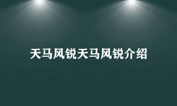 天马风锐天马风锐介绍