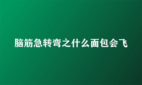 脑筋急转弯之什么面包会飞