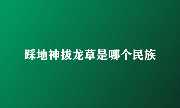 踩地神拔龙草是哪个民族