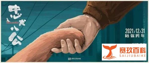 中国翻拍《忠犬八公》，主角将换成中华田园犬！