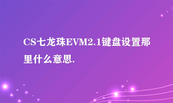 CS七龙珠EVM2.1键盘设置那里什么意思.