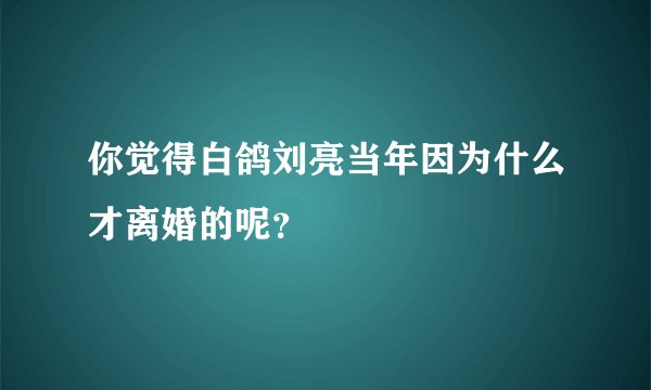你觉得白鸽刘亮当年因为什么才离婚的呢？
