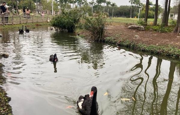 距离产生的不是美，是遗忘