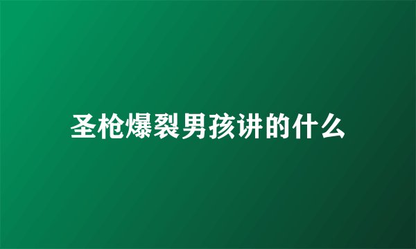 圣枪爆裂男孩讲的什么