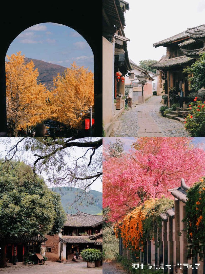 大理旅行社排名前十名
