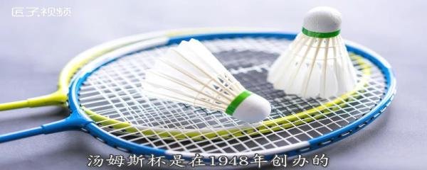 汤姆斯杯与尤伯杯的区别