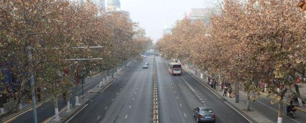 深圳限号是怎么限的