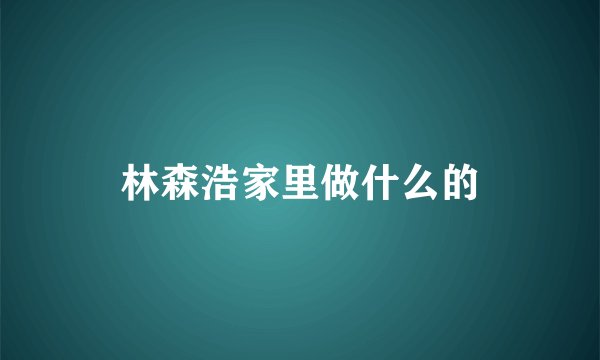 林森浩家里做什么的