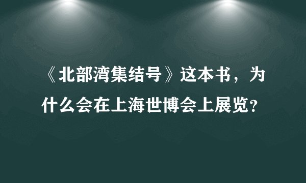 《北部湾集结号》这本书，为什么会在上海世博会上展览？
