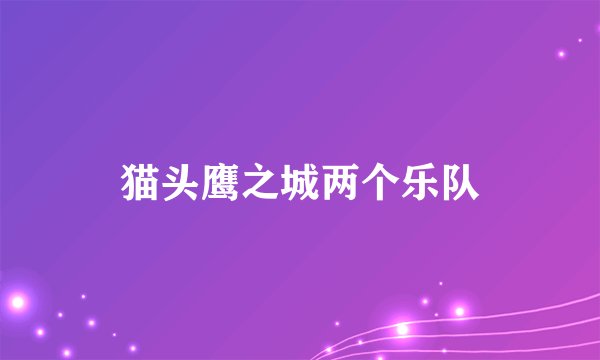 猫头鹰之城两个乐队