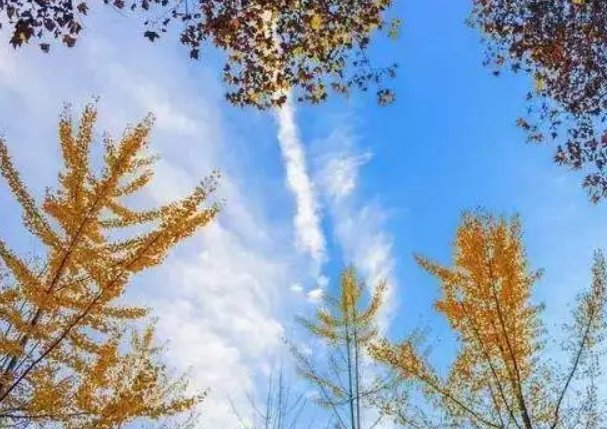 忽冷忽热,大范围升温下多地已回初夏,气温回升到底是不是好事?