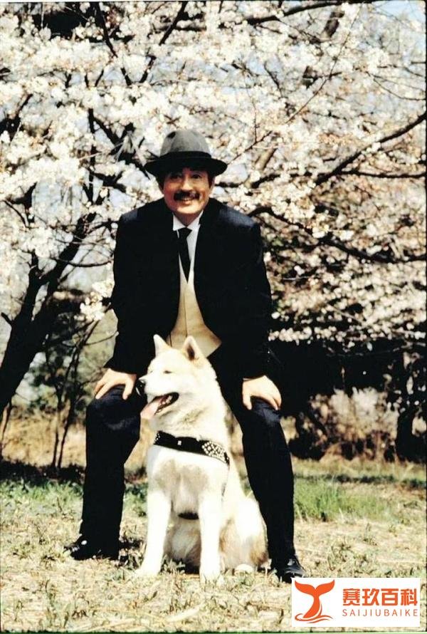 中国翻拍《忠犬八公》，主角将换成中华田园犬！