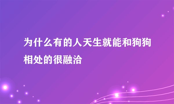 为什么有的人天生就能和狗狗相处的很融洽