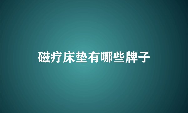 磁疗床垫有哪些牌子