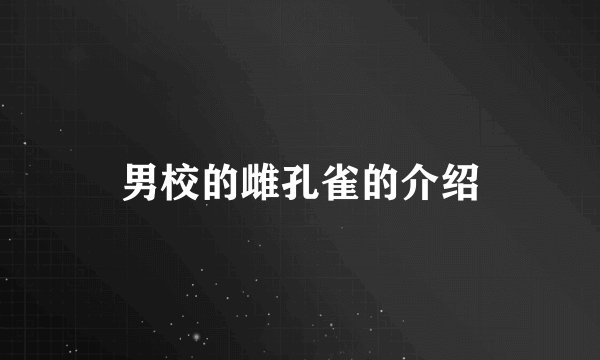 男校的雌孔雀的介绍