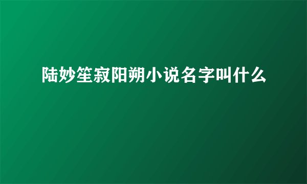 陆妙笙寂阳朔小说名字叫什么