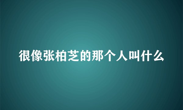 很像张柏芝的那个人叫什么