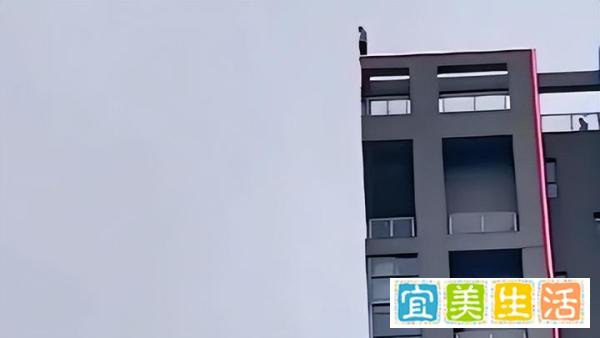 女子坠亡前有人起哄:不跳看不起你，家属要求追究起哄者责任！