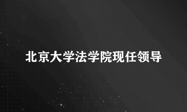北京大学法学院现任领导