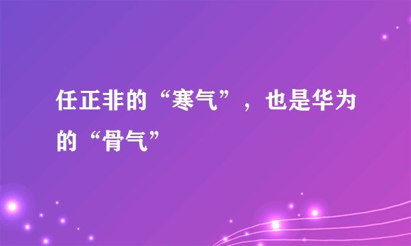 任正非的“寒气”，也是华为的“骨气”