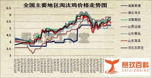 蛋先生：老鸡何时淘，利润最大化？淘鸡价走势分析