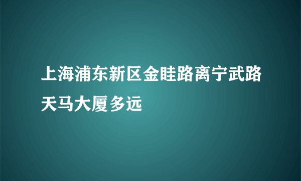 上海浦东新区金眭路离宁武路天马大厦多远