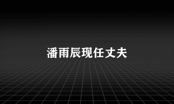 潘雨辰现任丈夫