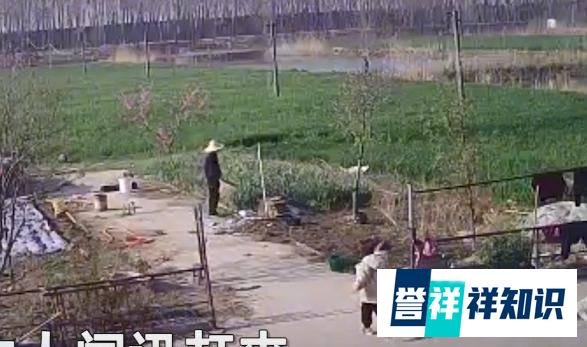 江苏一只藏獒突然发狂咬人,一名老汉抡起水桶,就是一顿打