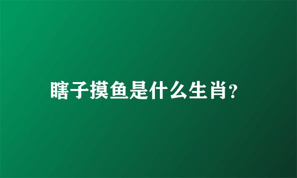瞎子摸鱼是什么生肖？
