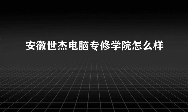 安徽世杰电脑专修学院怎么样