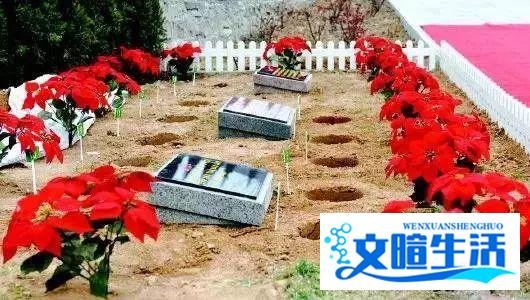 比房价贵5倍！这个城市开始对墓地也限购了