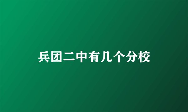 兵团二中有几个分校