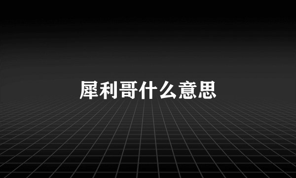 犀利哥什么意思