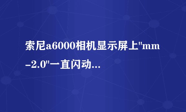 索尼a6000相机显示屏上