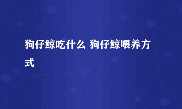 狗仔鲸吃什么 狗仔鲸喂养方式