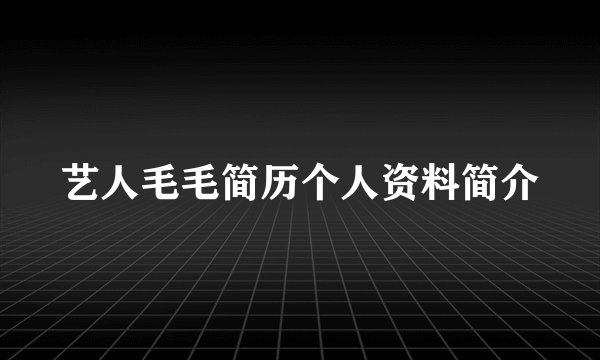 艺人毛毛简历个人资料简介