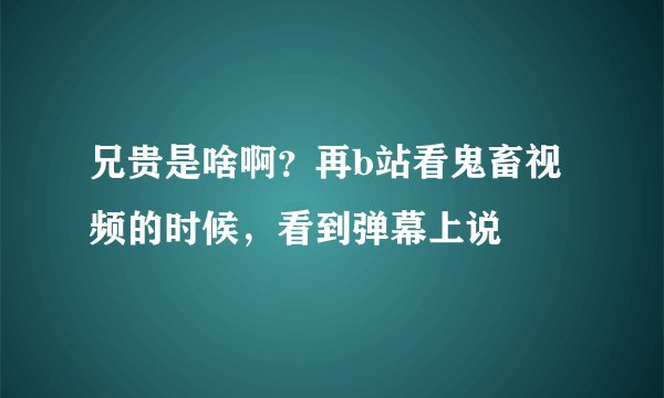 兄贵是啥啊？再b站看鬼畜视频的时候，看到弹幕上说