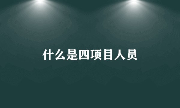 什么是四项目人员