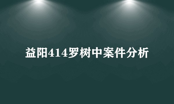 益阳414罗树中案件分析