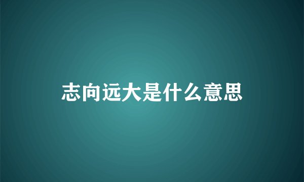 志向远大是什么意思