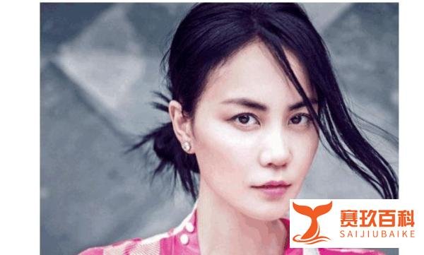 李亚鹏和许晴公布恋情, 王菲放话不能娶她, 网友: 你算老几