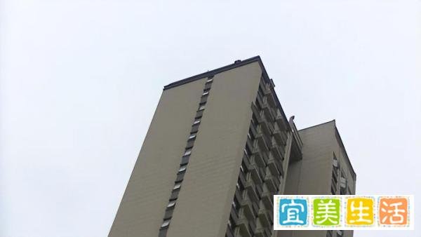 女子坠亡前有人起哄:不跳看不起你,家属要求追究起哄者责任!