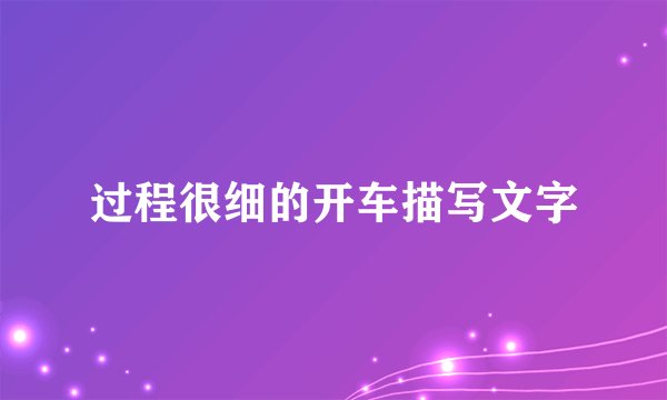 过程很细的开车描写文字
