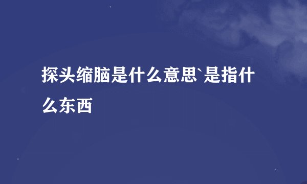 探头缩脑是什么意思`是指什么东西